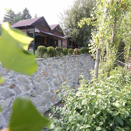 Brvnare Ala Vrdnik Villa Luaran gambar