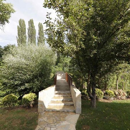Brvnare Ala Vrdnik Villa Luaran gambar
