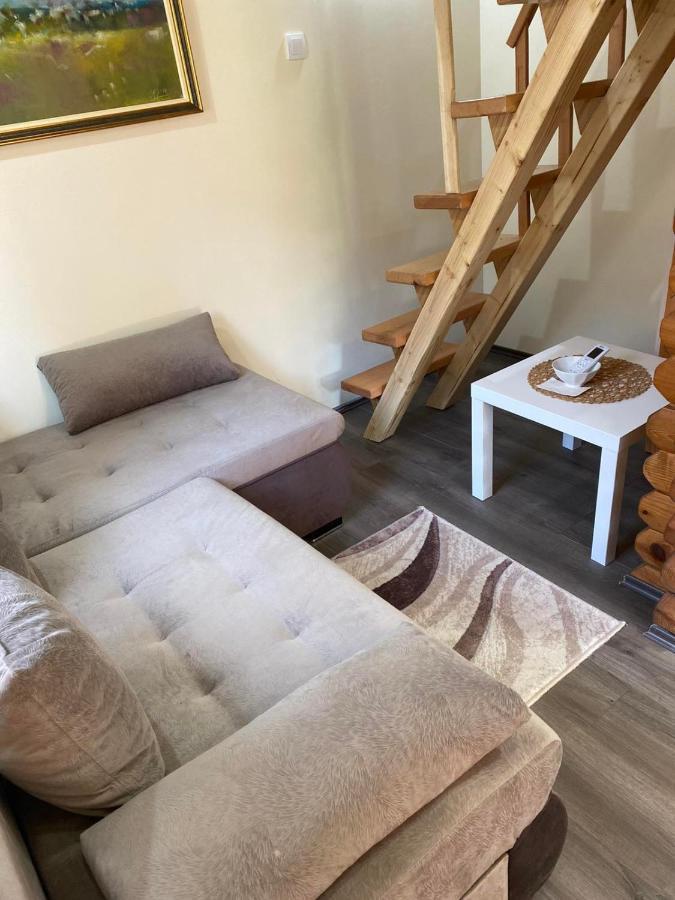 Brvnare Ala Vrdnik Villa Luaran gambar