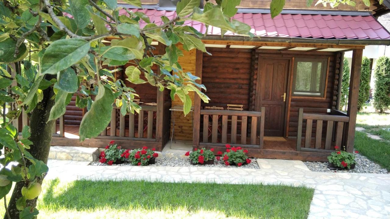 Brvnare Ala Vrdnik Villa Luaran gambar