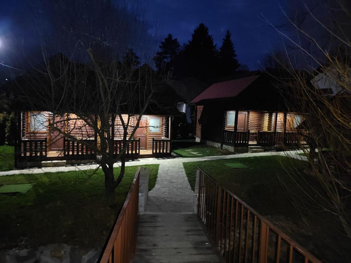 Brvnare Ala Vrdnik Villa Luaran gambar