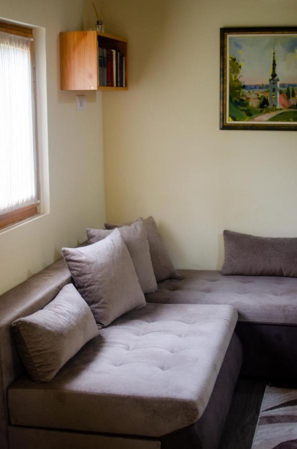 Brvnare Ala Vrdnik Villa Luaran gambar