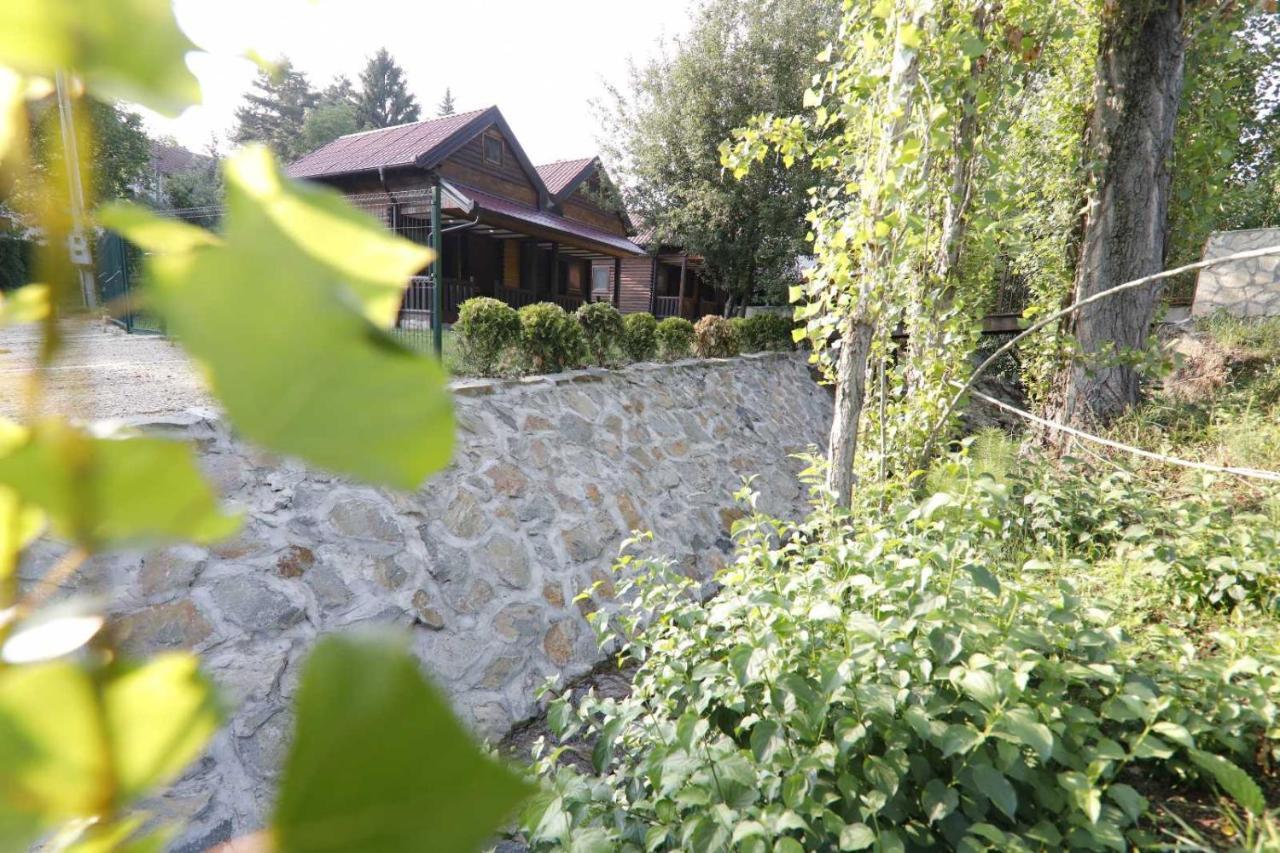 Brvnare Ala Vrdnik Villa Luaran gambar